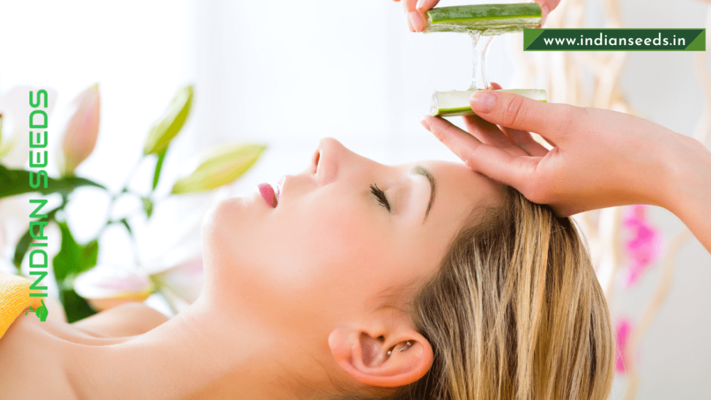 10 Benefits of Aloe Vera for Your Skin aloe vera for acne aloe vera for dandruff-2