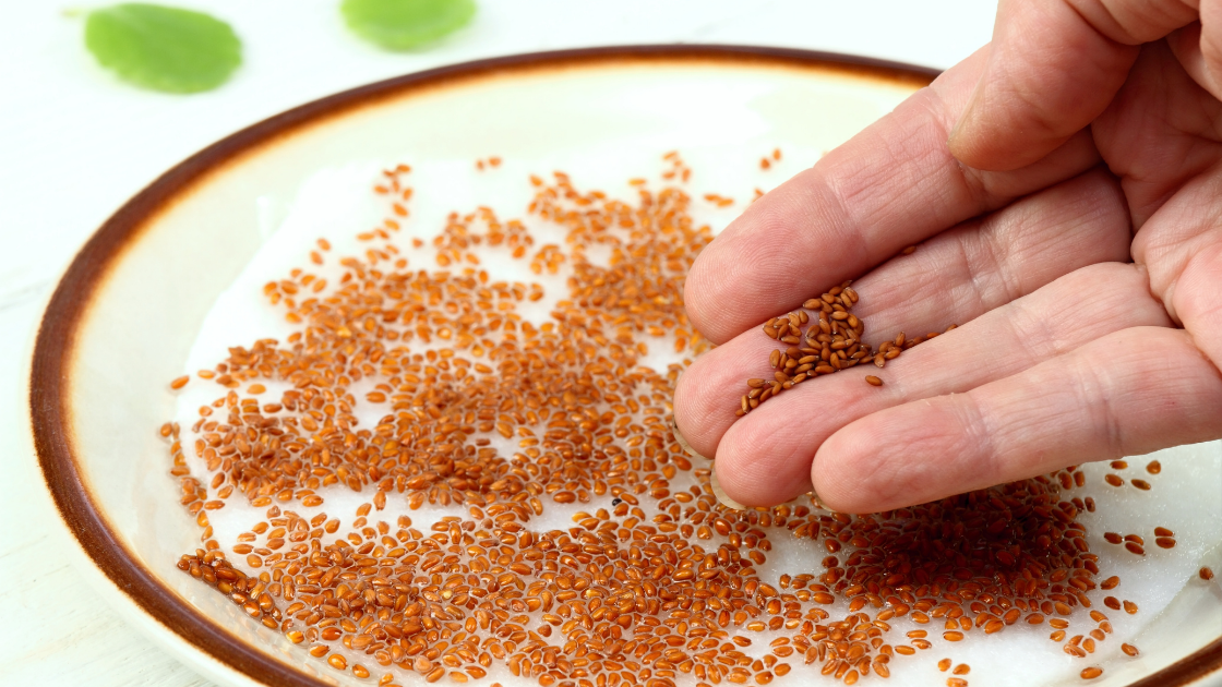 What is Halim Seed or Aliv Seeds? Halim Seeds Benefits and Uses -