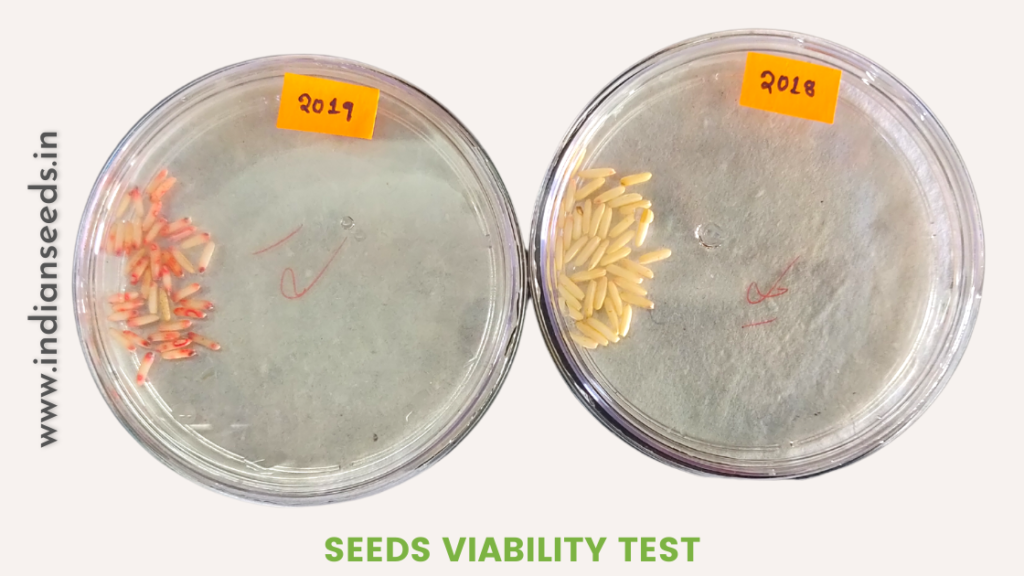 What is Seed Viability Test – Know the quality of your seeds