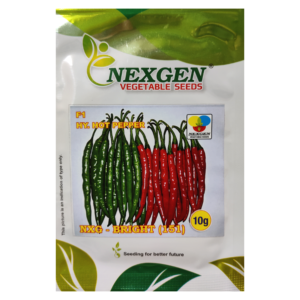 Nexgen Hybrid Hot Pepper Seeds – Bright 151 (10g)