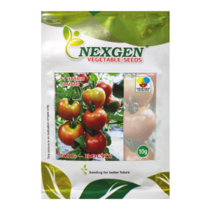 Nexgen Hybrid Tomato Seeds – Rocky (10g)