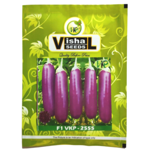 Vishal F1 Hybrid Brinjal Seeds – VKP-2555 (10g)