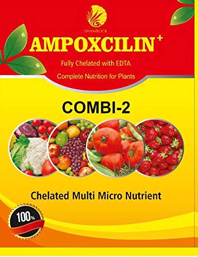Ampoxcilin-Micronutrient-Fertilizer