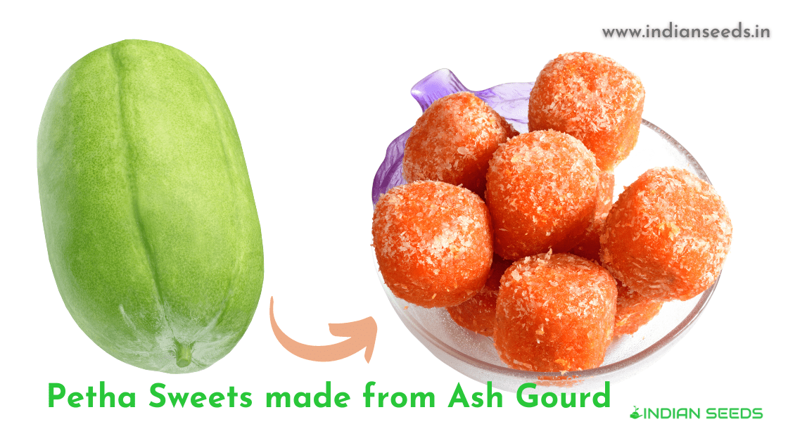 What Is Ash Gourd? Complete guide to Ash Gourd benefits Indian Seeds