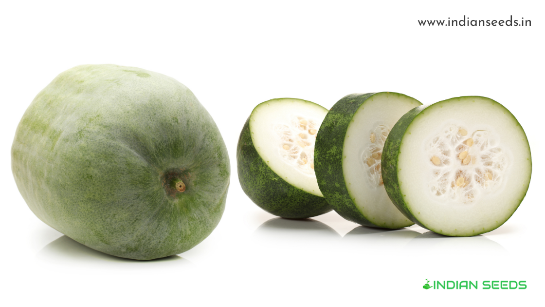 Read more about the article What Is Ash Gourd? Complete guide to Ash Gourd benefits