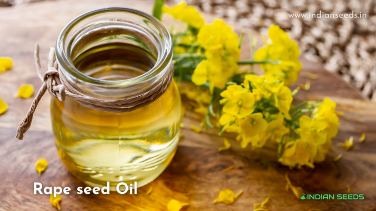 rape-seed-rapeseed-rapeseed-oil-for-cooking-no-flavour-rapeseed-field-rapeseed-tree-rape-seed-flower-plant (1)