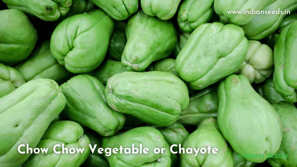 Chow-Chow-Vegetable-Chayote-squash-seed-Banga-Vegetable-complete-info