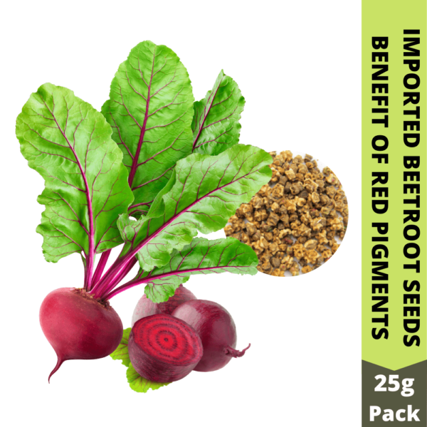 Beetroot-seeds-ruby-queen-imported-seeds (2)-min