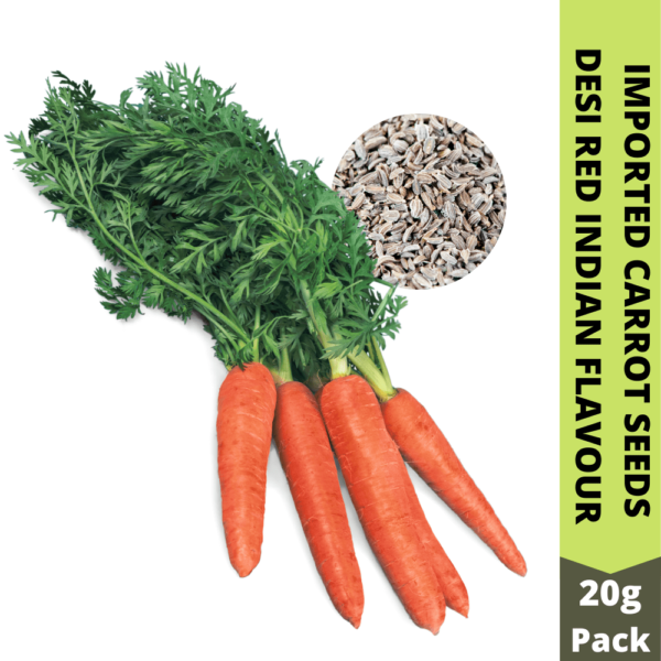 goagro-carrot-seeds