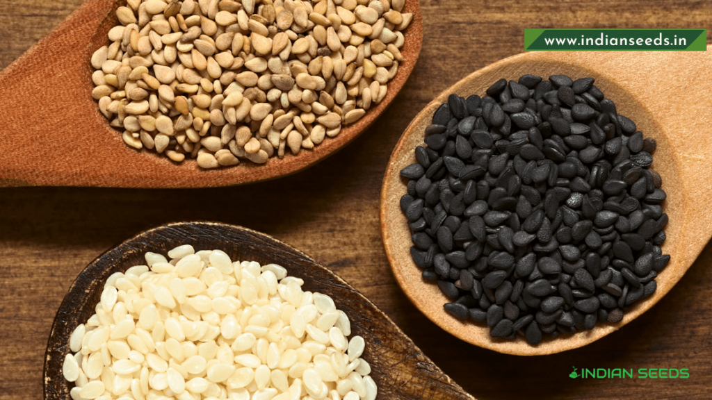 sesame-seeds-benefits-what-is-sesame-seeds-types-of-sesame-seeds-indian-seeds