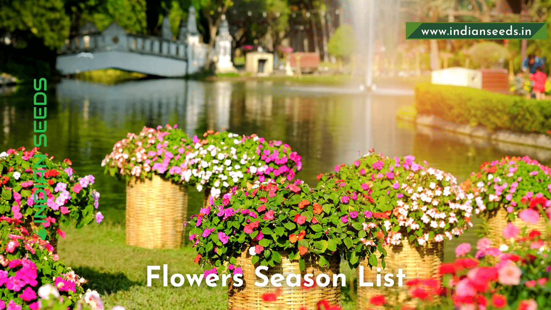 You are currently viewing List of Flowers with Season to Grow