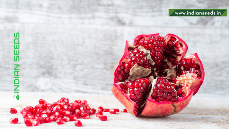 Benefits of Pomegranate Seeds - Indian Seeds