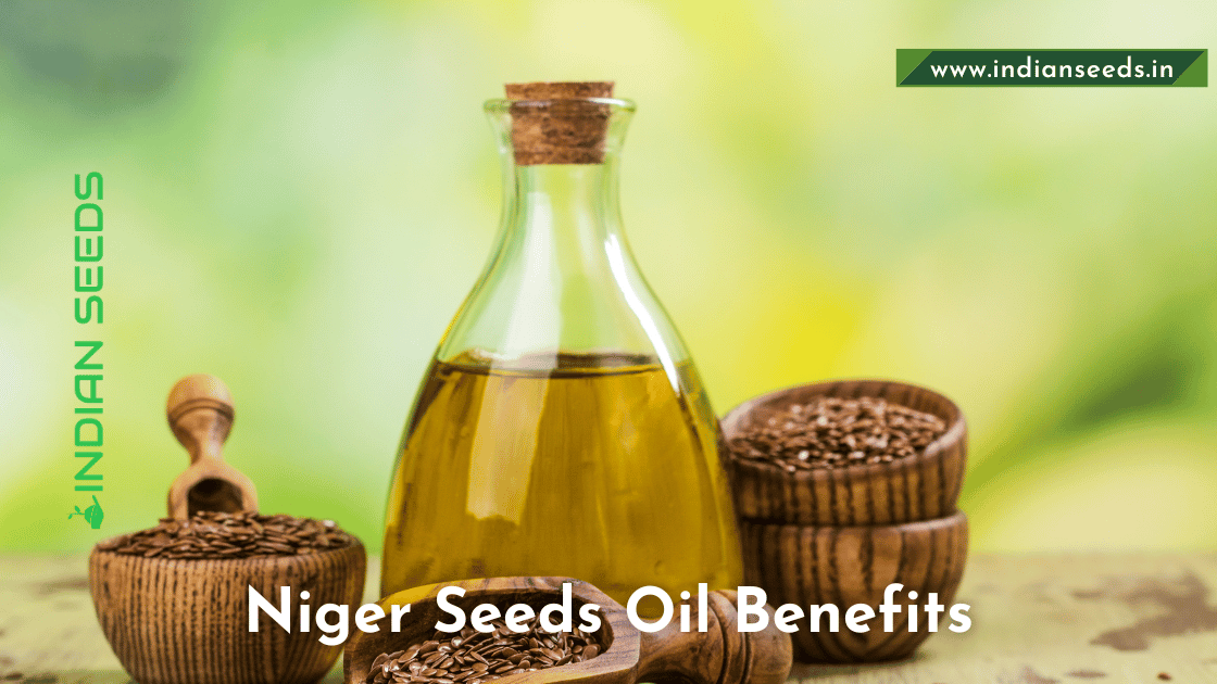 You are currently viewing Niger seed Oil benefits and side effects