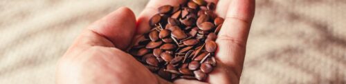How to eat flax seeds Raw or Roasted