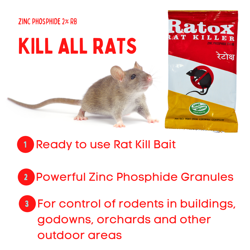 Rat Control Granules | Bait for Effective Rat Control | Chuha Mar 50gmX4