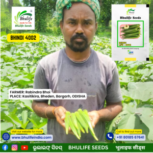 Bhulife Bhindi Seeds Life 4002 (100g)