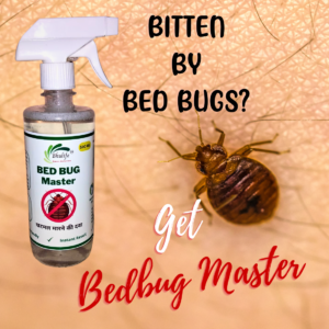 Powerfull Natural Organic Bedbug Killer Spray|Khatmal Marne Ki Dawai|Khatmal  Maar 500MLx2