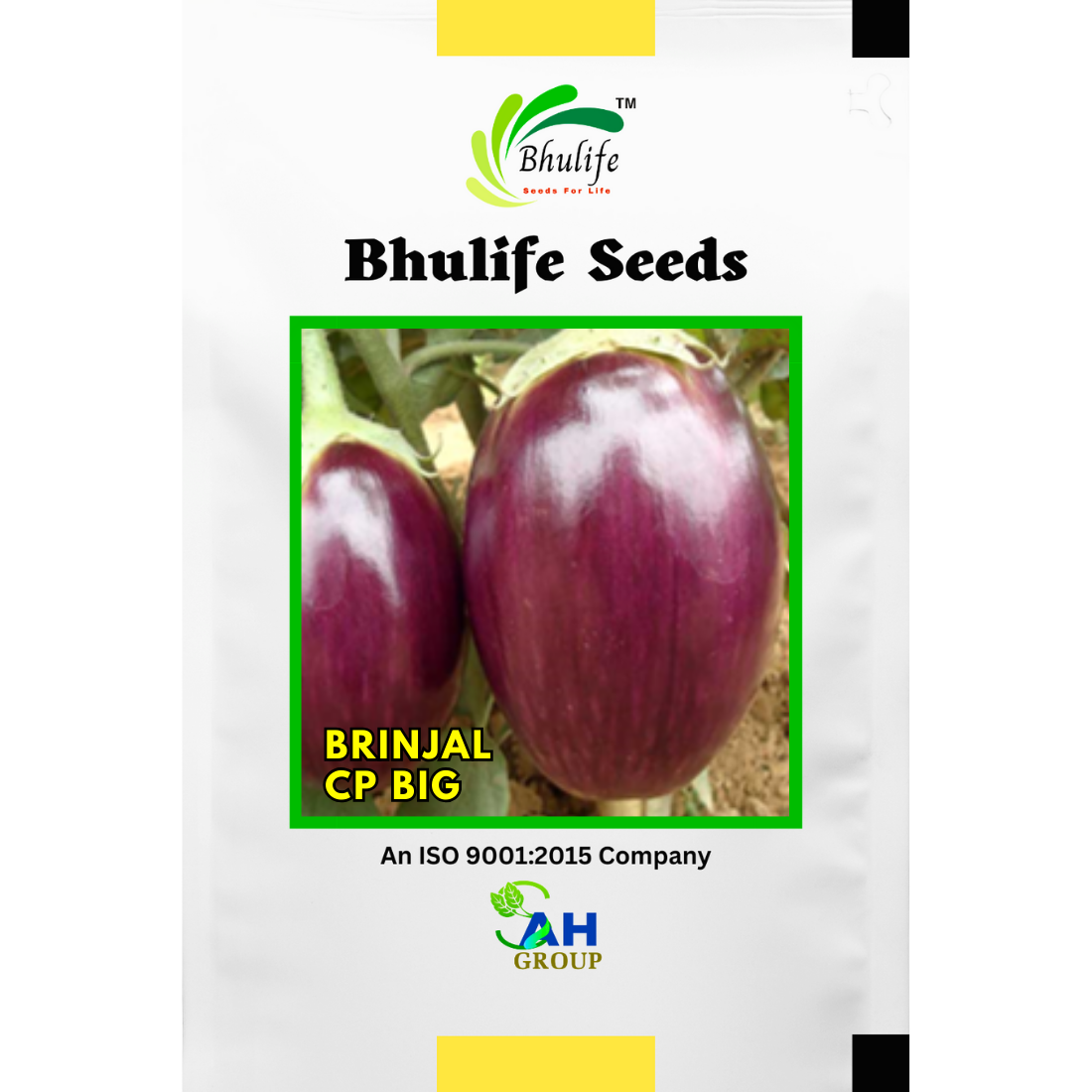 Bhulife Hybrid Brinjal Seeds CP Big (10g)