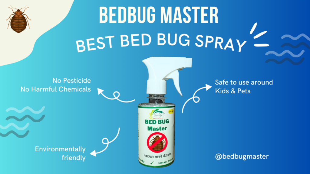 how to get rid of bed bugs | best bedbug Spray | bed Bug Killer