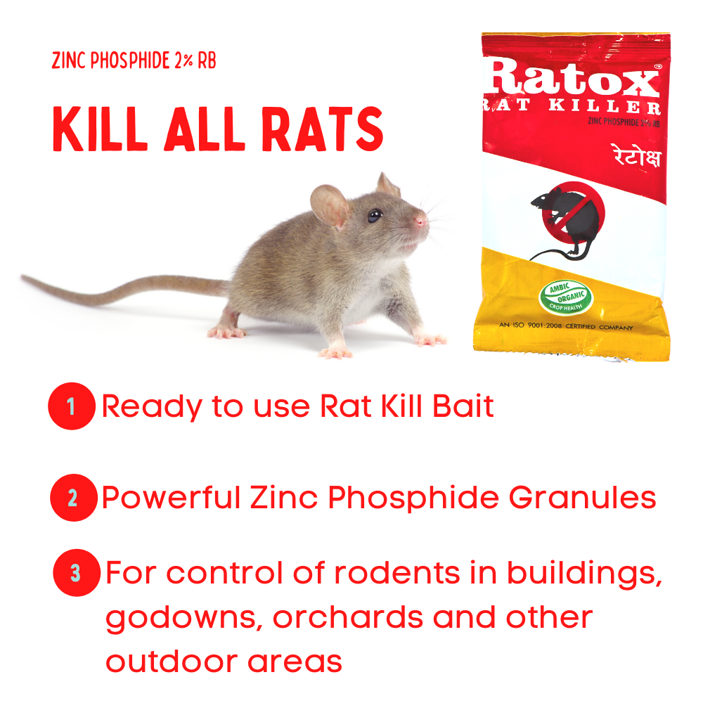 Rat Control Granules | Bait for Effective Rat Control | Chuha Mar 50gmX8