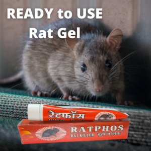 Rat Kill Gel | Ready to Use Rat Killer for Indoor and Outdoor | Rodenticide Rat Poison Bait 30Gx3