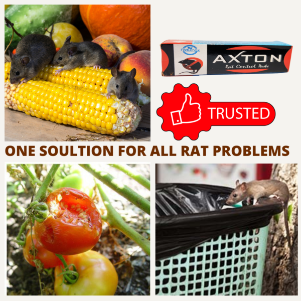 Rat Killer Paste Rat Kill Gel Rat Control at Home and Outdoors Rodenticide Rat Poison