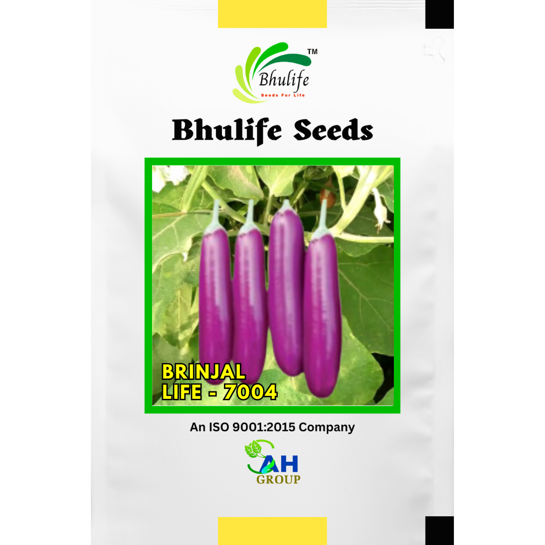 Bhulife Hybrid Brinjal Seeds LIFE-7004 (10g)
