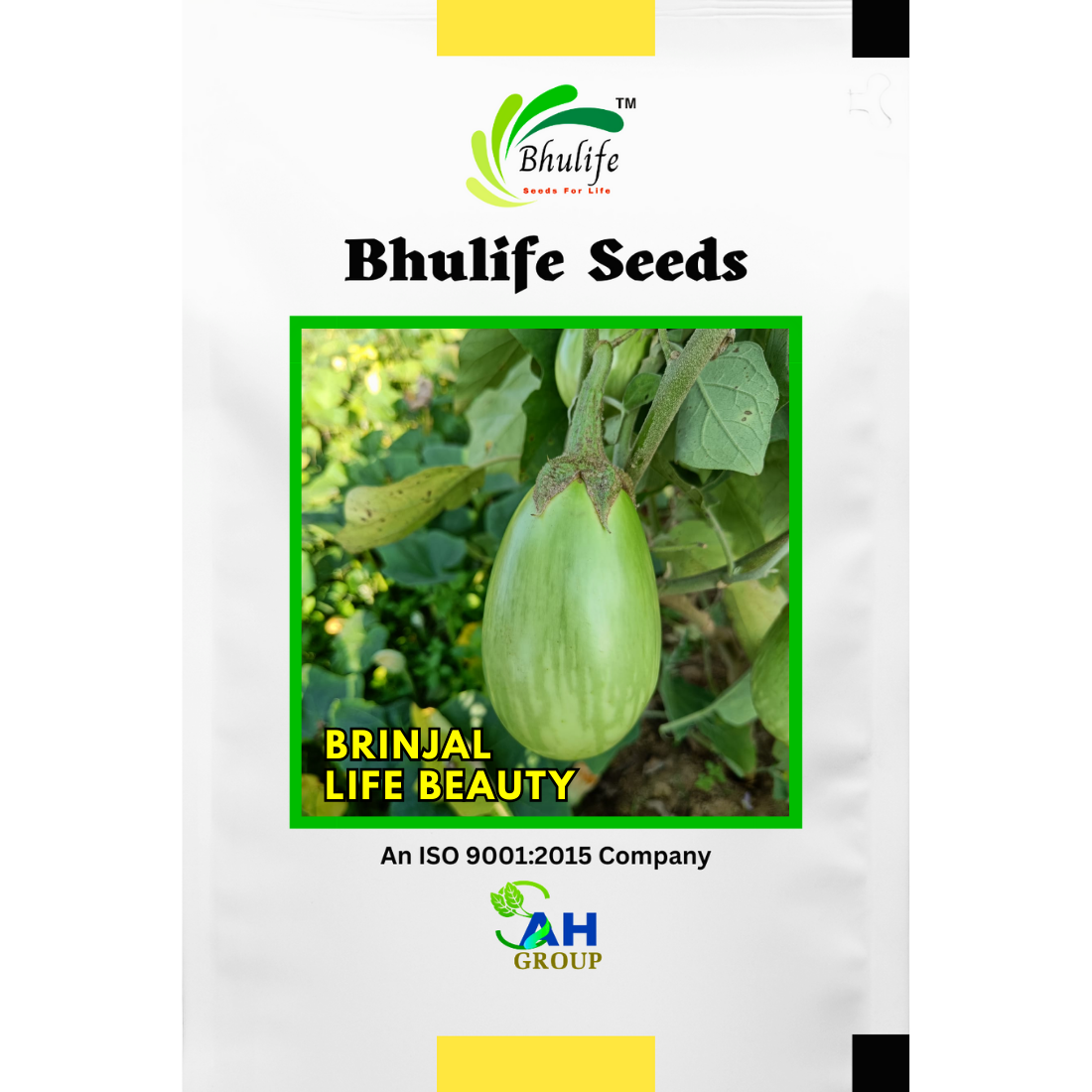 Bhulife Hybrid Brinjal Seeds Life Beauty (10g)