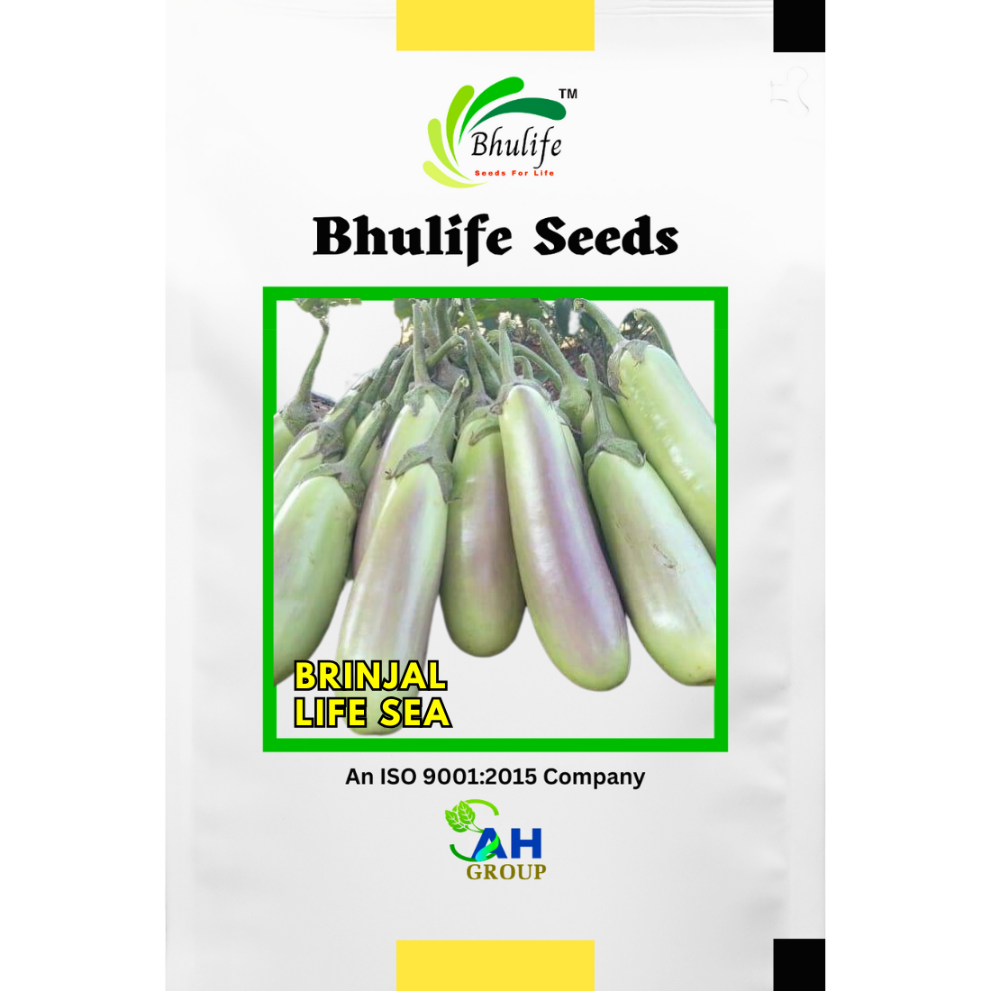 Bhulife Hybrid Brinjal Seeds Life Sea (10g)