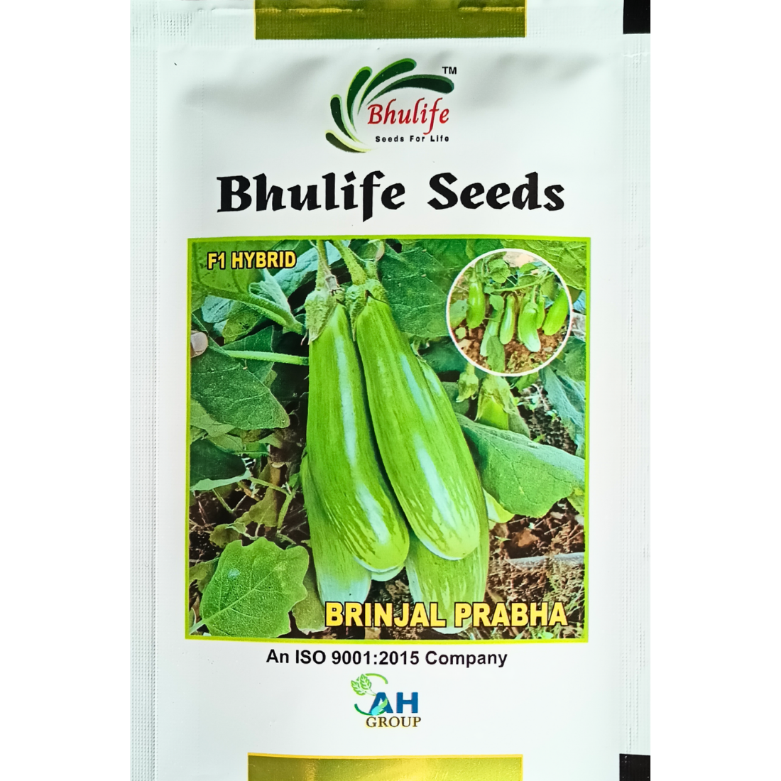 Bhulife Hybrid Brinjal Seeds Prabha (10g)
