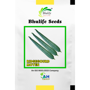 Bhulife Hybrid Ridgegourd Seeds Moyen (10g)