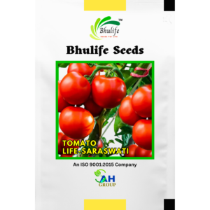 Bhulife Hybrid Tomato Seeds Life Saraswati (10g)