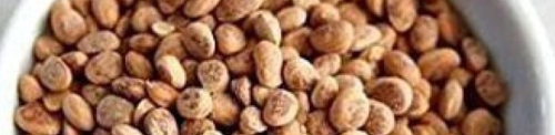 Chironji Seeds: The Nutty Treasure of Indian Cuisine and Its Benefits