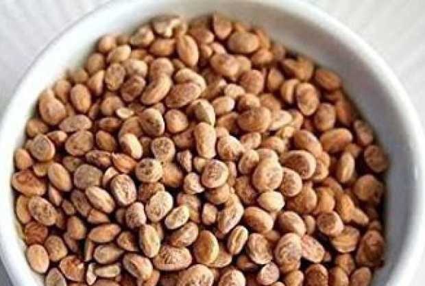 Read more about the article Chironji Seeds: The Nutty Treasure of Indian Cuisine and Its Benefits