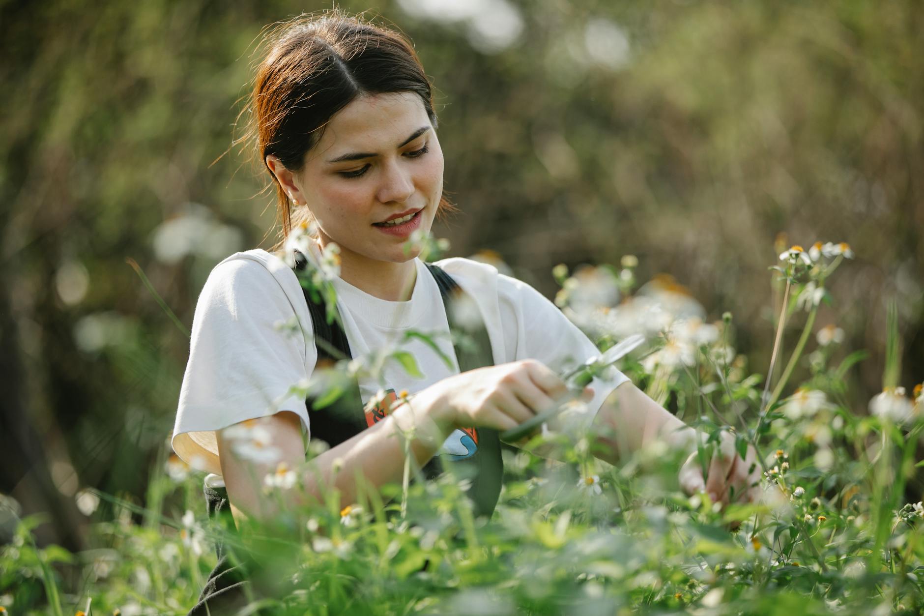 Read more about the article Art of Plant Cutting Cloning: 10 Essential Tips