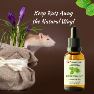 Peppermint Oil for Rats 15ml | DIY Rat Repellent