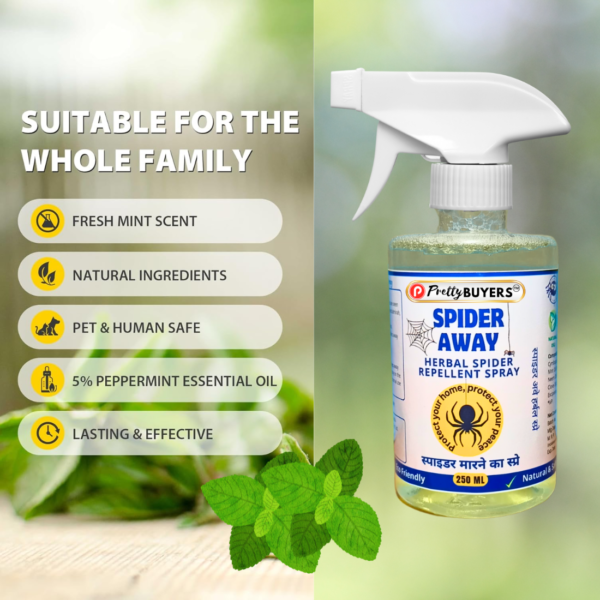 Spider Away Pretty BUYERS Spider Repellent Spray Spider killer