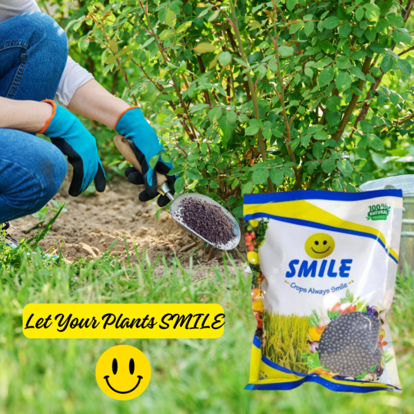 SMILE Granules Bio Fertilizer Mixture of Humic, Amino, Fulvic, Seaweed And Bioenzymes | PGR - Best Food for All Plants | 1 Kg Pack - Image 5