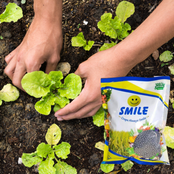 SMILE Granules Bio Fertilizer Mixture of Humic, Amino, Fulvic, Seaweed And Bioenzymes | PGR - Best Food for All Plants | 1 Kg Pack - Image 4