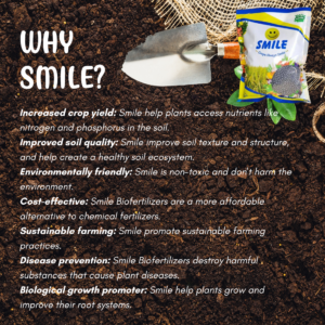 SMILE Granules Bio Fertilizer Mixture of Humic, Amino, Fulvic, Seaweed And Bioenzymes | PGR – Best Food for All Plants | 1 Kg Pack