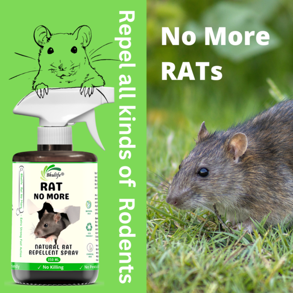 Bhulife Rat No More 250 ML | Natural Oil Rat Repellent Spray (Pack Of 1)