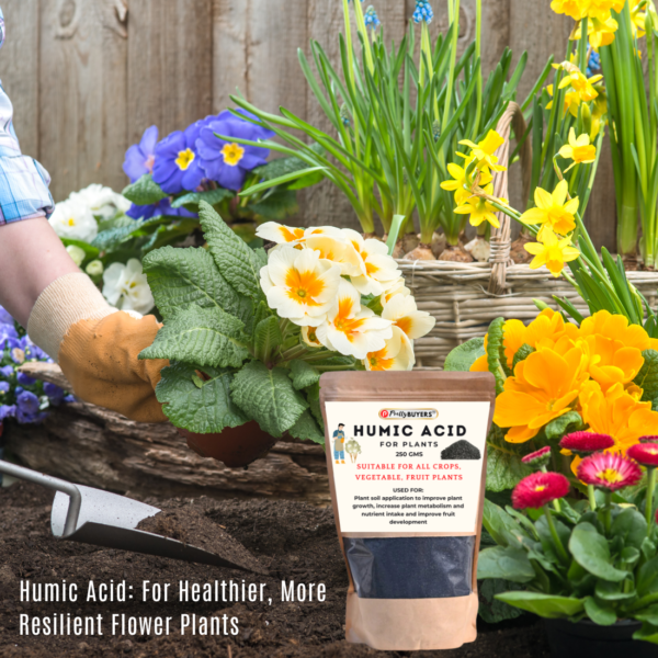Organic Plant Humic Acid Fertilizer For Plant Manure