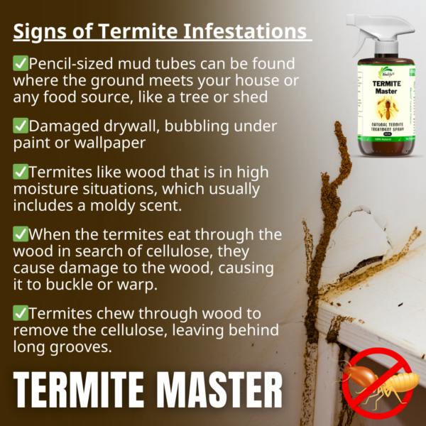 Prettybuyers Termite Away Spray 250ML | Natural Termite Control (Pack Of 2) - Image 4