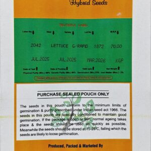 Pocha Seeds Lettuce Grand Rapid KGP