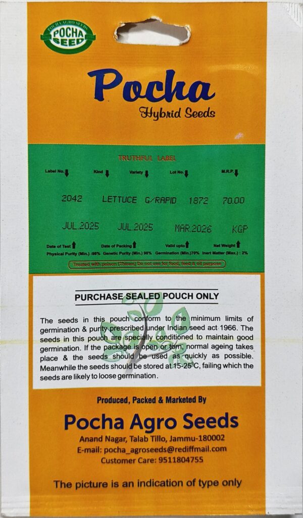 Pocha Seeds Lettuce Grand Rapid KGP - Image 2