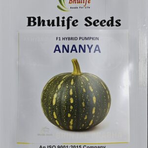 Pumpkin Seeds Ananya F1 Hybrid by Bhulife Seeds 10g