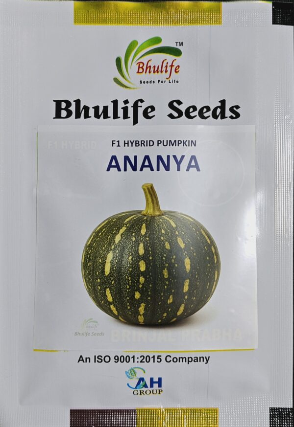 Pumpkin Seeds Ananya F1 Hybrid by Bhulife Seeds 10g