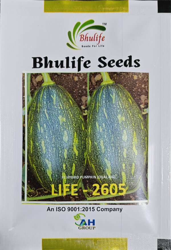 Pumpkin Seeds Hybrid Life-2605 by Bhulife Seeds