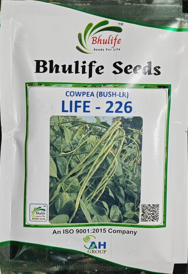 Cowpea Seeds Life-226 Bush by Bhulife Seeds 100g