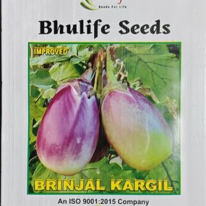 Brinjal Seeds Kargil Improved by Bhulife Seeds 10g